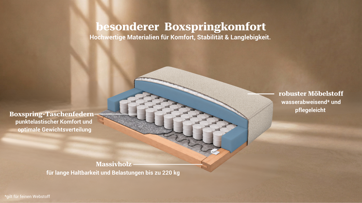 Grafik zur Boxspringfeder als Komfortvorteil von Bruno Schlafmöbeln