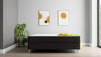 Boxspringbett Premium von Bruno – in Anthrazit, Compact-Kopfteil, Klassik-Armlehnen